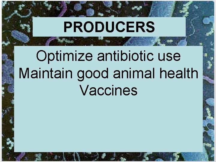 PRODUCERS Optimize antibiotic use Maintain good animal health Vaccines 