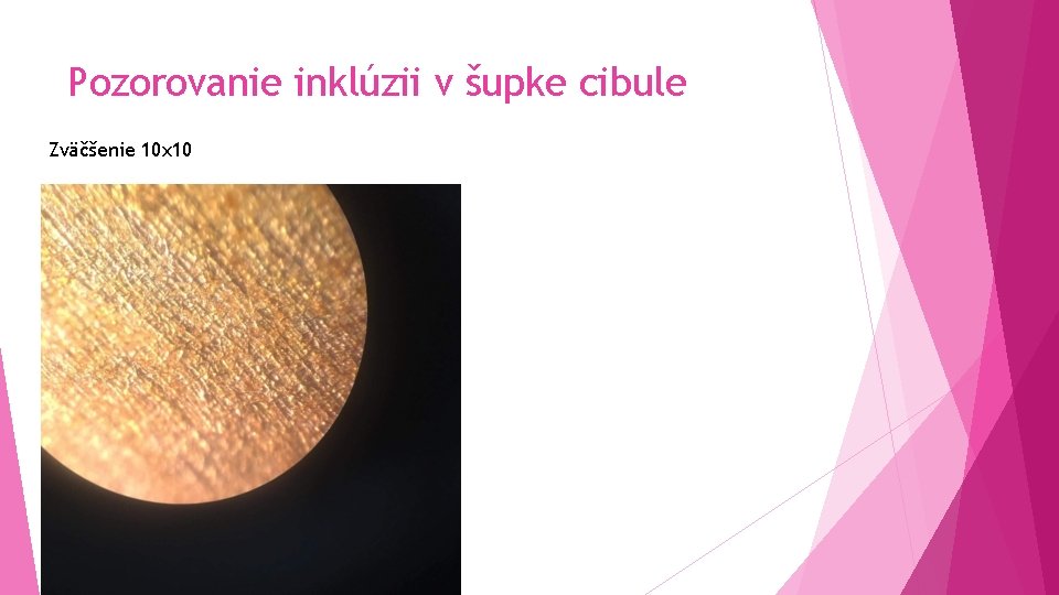 Pozorovanie inklúzii v šupke cibule Zväčšenie 10 x 10 