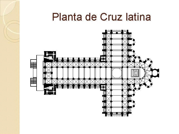Planta de Cruz latina Planta de Cruz latina