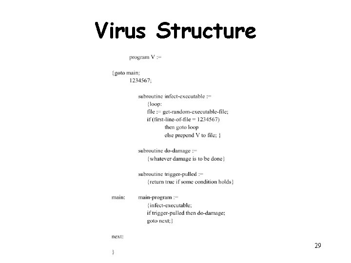 Virus Structure Henric Johnson 29 