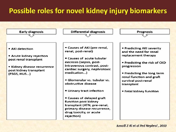 Possible roles for novel kidney injury biomarkers Ismaili Z Al et al Ped Nephrol