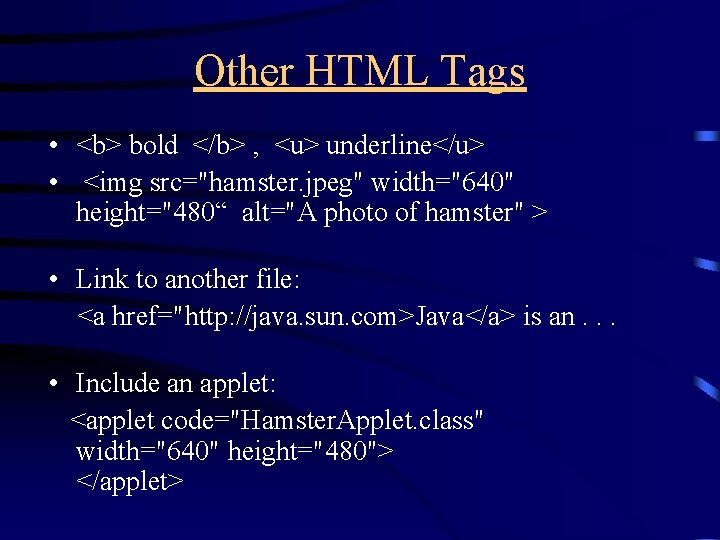 Other HTML Tags • <b> bold </b> , <u> underline</u> • <img src="hamster. jpeg"