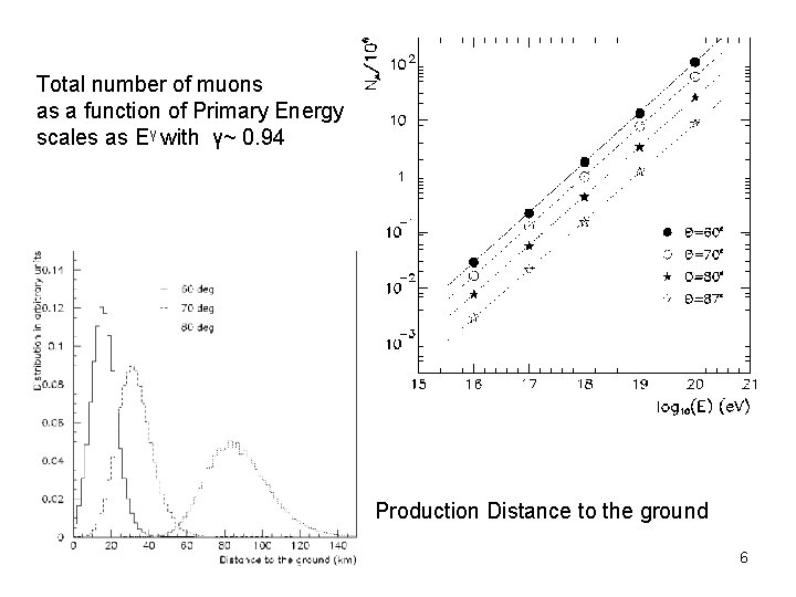 Total number of muons as a function of Primary Energy scales as Eγ with