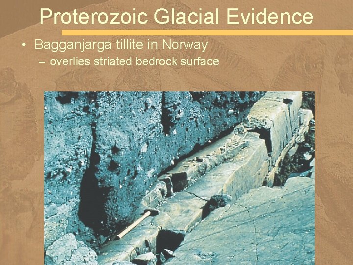 Proterozoic Glacial Evidence • Bagganjarga tillite in Norway – overlies striated bedrock surface 