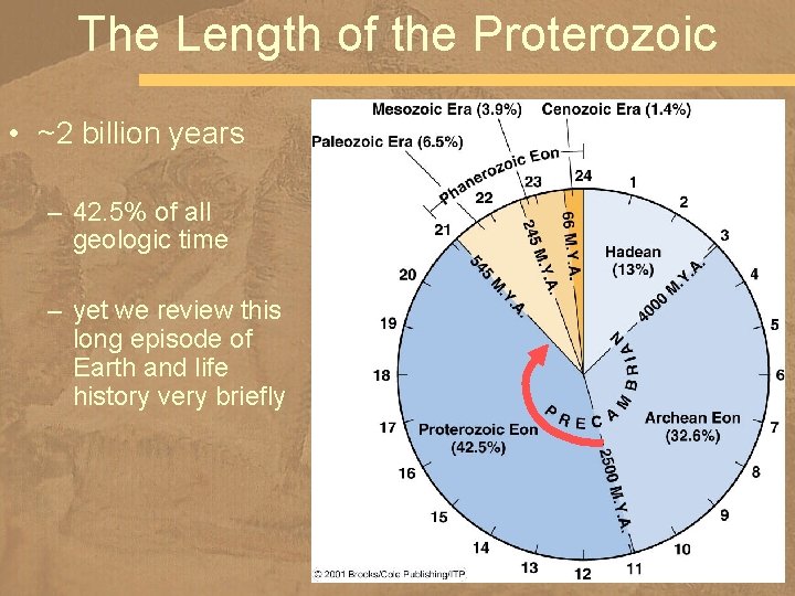 The Length of the Proterozoic • ~2 billion years – 42. 5% of all