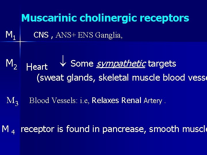 Muscarinic cholinergic receptors M 1 CNS , ANS+ ENS Ganglia, M 2 Heart Some