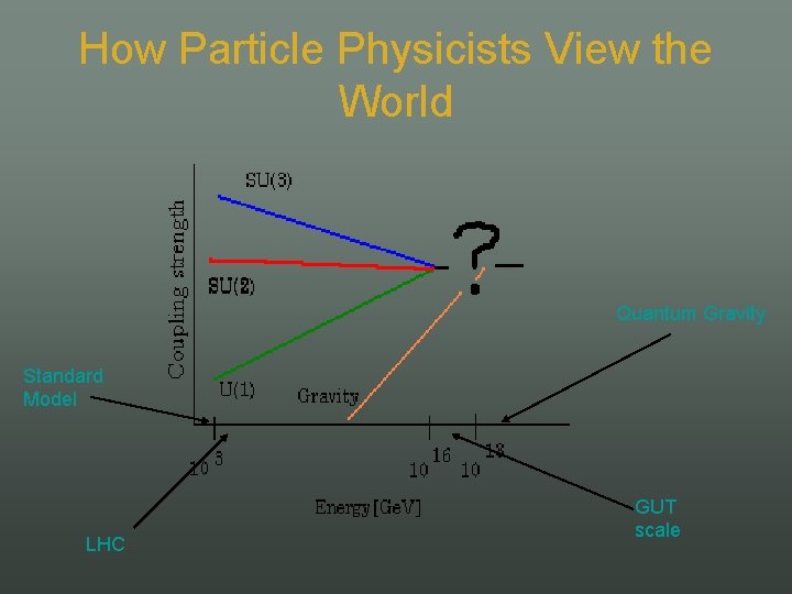 How Particle Physicists View the World Quantum Gravity Standard Model LHC GUT scale 