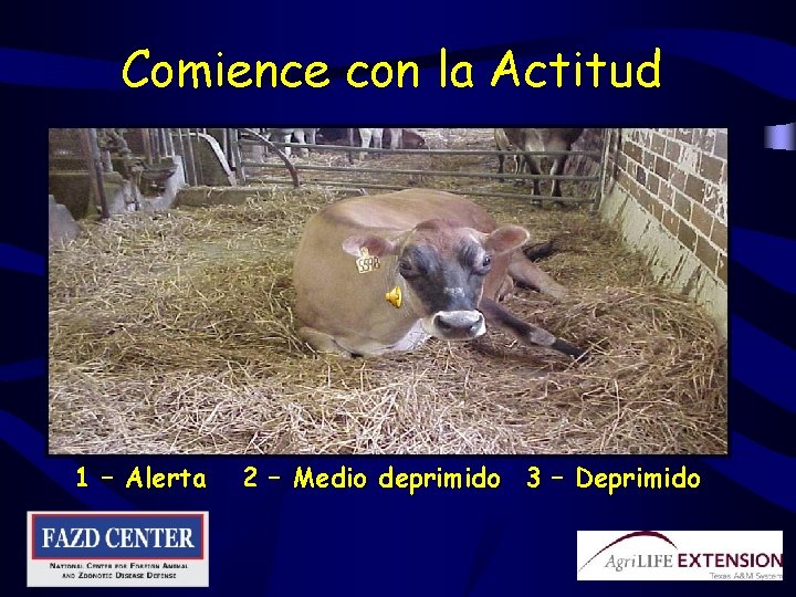 Comience con la Actitud 1 – Alerta 2 – Medio deprimido 3 – Deprimido