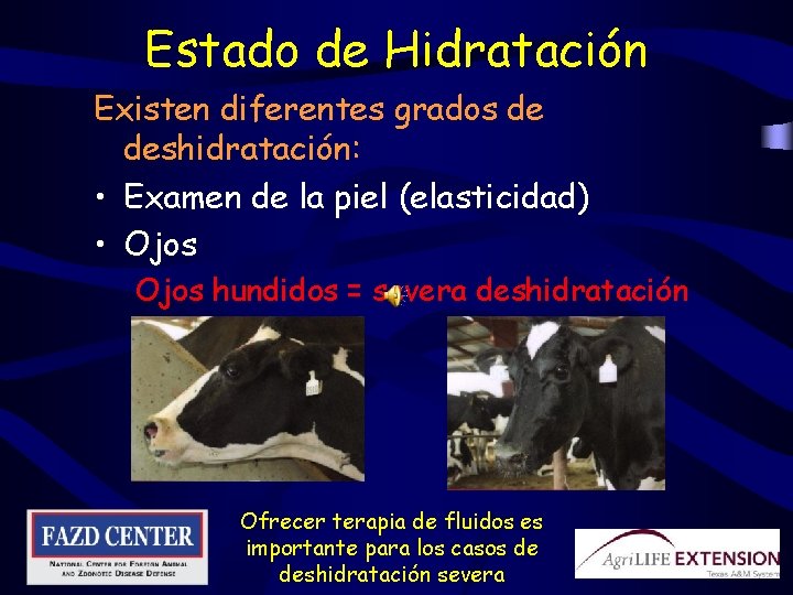 Estado de Hidratación Existen diferentes grados de deshidratación: • Examen de la piel (elasticidad)