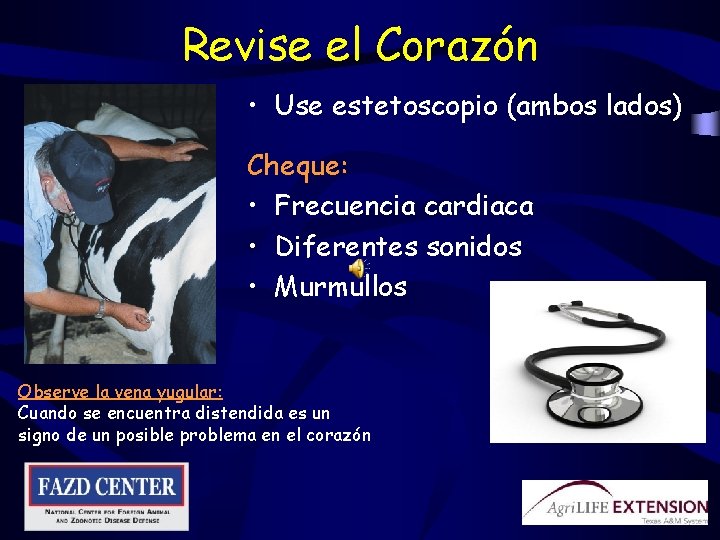 Revise el Corazón • Use estetoscopio (ambos lados) Cheque: • Frecuencia cardiaca • Diferentes