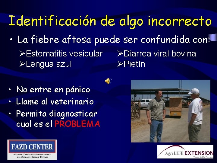 Identificación de algo incorrecto • La fiebre aftosa puede ser confundida con: ØEstomatitis vesicular