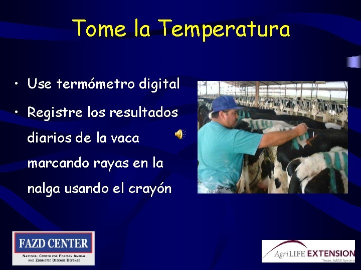 Tome la Temperatura • Use termómetro digital • Registre los resultados diarios de la