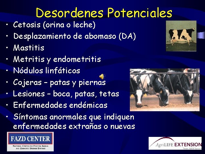  • • • Desordenes Potenciales Cetosis (orina o leche) Desplazamiento de abomaso (DA)