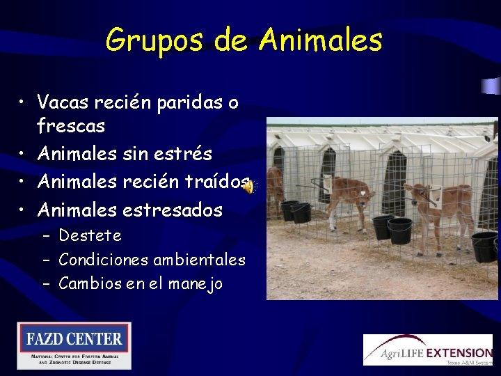 Grupos de Animales • Vacas recién paridas o frescas • Animales sin estrés •