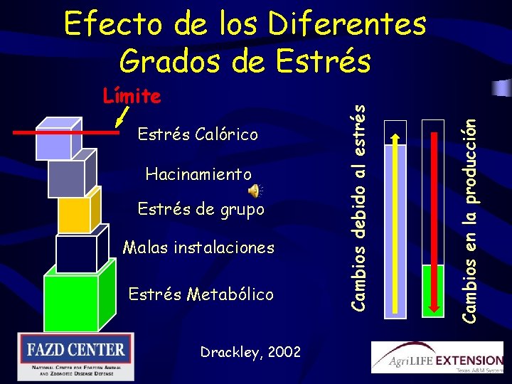 Estrés Calórico Hacinamiento Estrés de grupo Malas instalaciones Estrés Metabólico Drackley, 2002 Cambios en