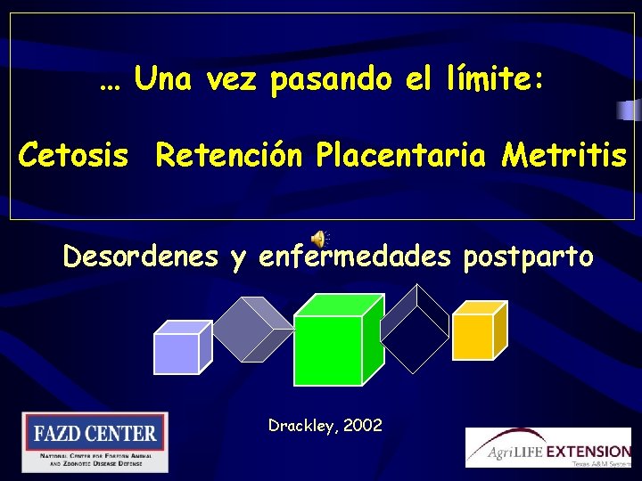 … Una vez pasando el límite: Cetosis Retención Placentaria Metritis Desordenes y enfermedades postparto