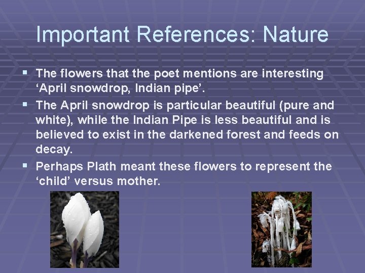 Important References: Nature § The flowers that the poet mentions are interesting ‘April snowdrop,