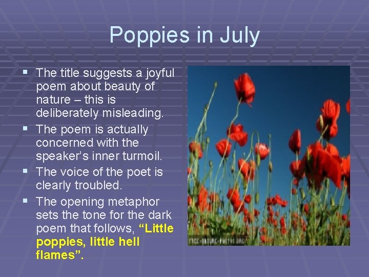 Poppies in July § The title suggests a joyful poem about beauty of nature