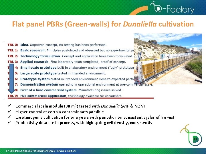 Flat panel PBRs (Green-walls) for Dunaliella cultivation ü ü Commercial scale module (30 m