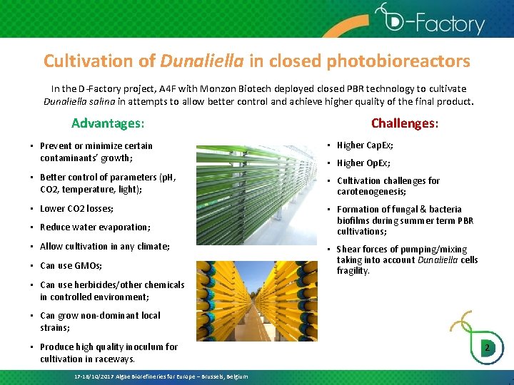 Cultivation of Dunaliella in closed photobioreactors In the D-Factory project, A 4 F with