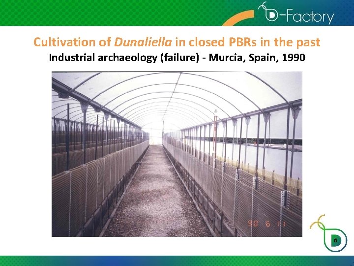 Cultivation of Dunaliella in closed PBRs in the past Industrial archaeology (failure) - Murcia,