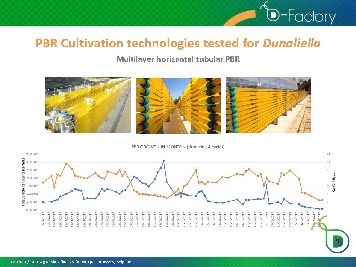 PBR Cultivation technologies tested for Dunaliella Multilayer horizontal tubular PBR 9 17 -18/10/2017 Algae