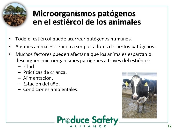 Microorganismos patógenos en el estiércol de los animales • Todo el estiércol puede acarrear