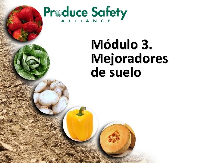 Módulo 3. Mejoradores de suelo 