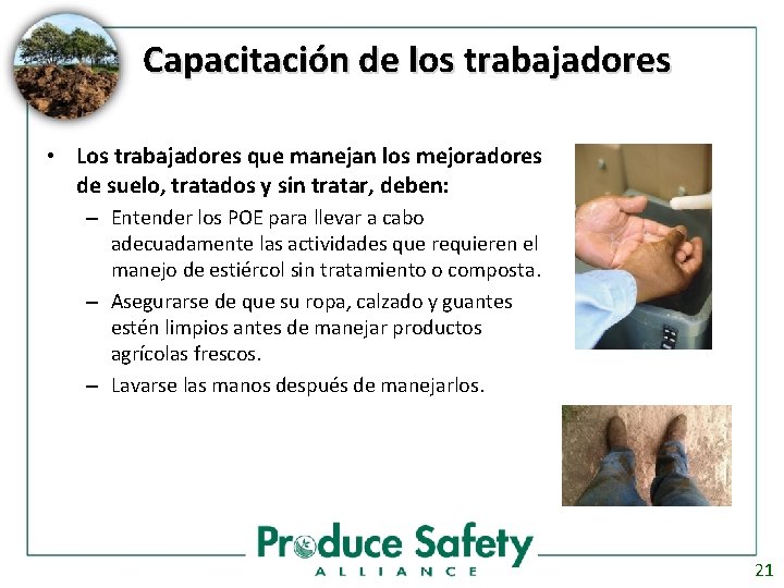 Capacitación de los trabajadores • Los trabajadores que manejan los mejoradores de suelo, tratados