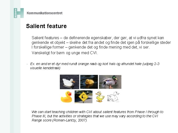 Salient features – de definerende egenskaber, der gør, at vi udfra synet kan genkende