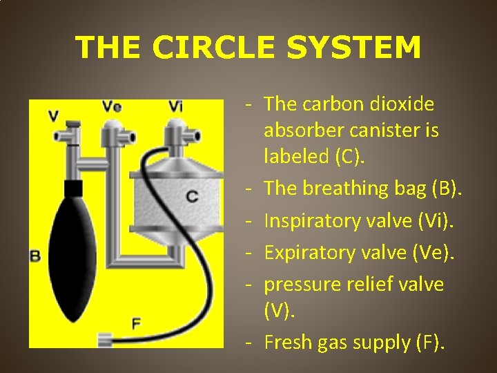 THE CIRCLE SYSTEM - The carbon dioxide absorber canister is labeled (C). - The