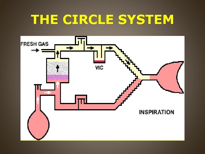 THE CIRCLE SYSTEM 