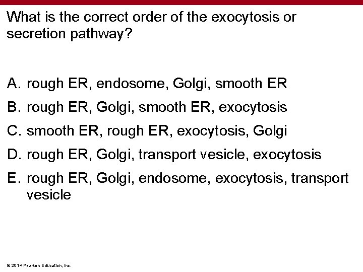 What is the correct order of the exocytosis or secretion pathway? A. rough ER,