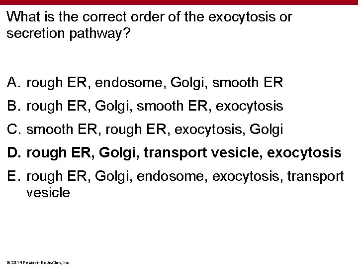 What is the correct order of the exocytosis or secretion pathway? A. rough ER,