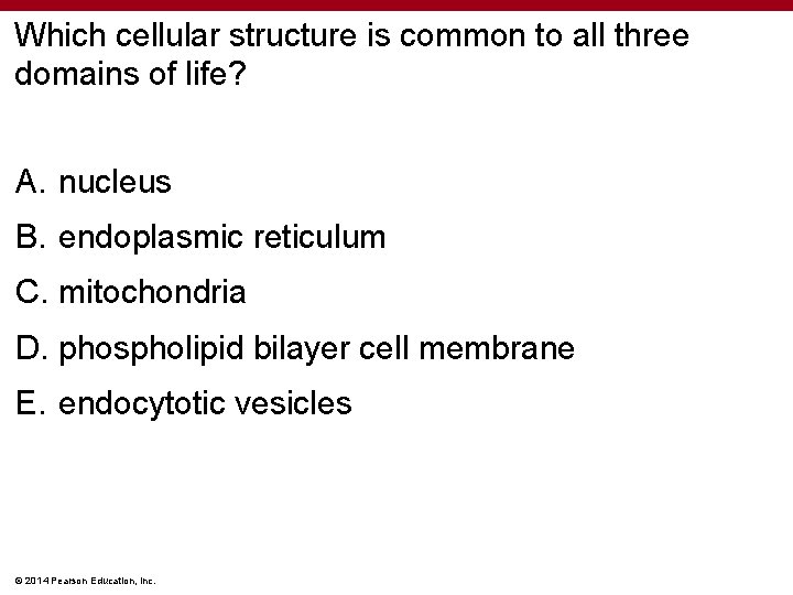 Which cellular structure is common to all three domains of life? A. nucleus B.