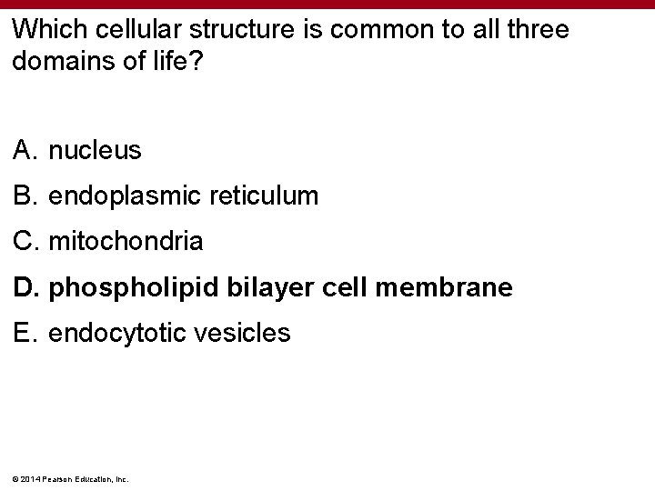 Which cellular structure is common to all three domains of life? A. nucleus B.