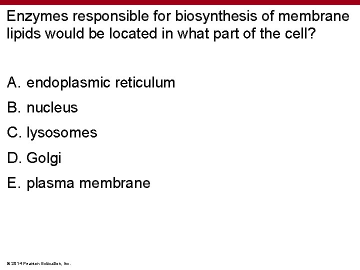 Enzymes responsible for biosynthesis of membrane lipids would be located in what part of