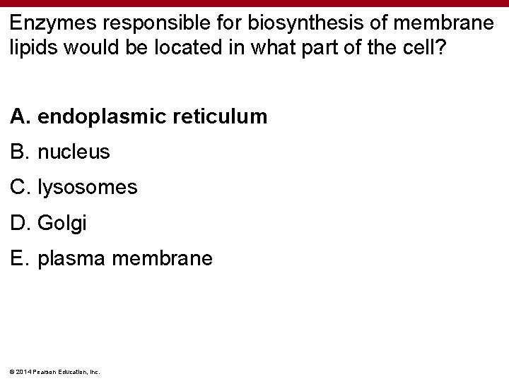 Enzymes responsible for biosynthesis of membrane lipids would be located in what part of