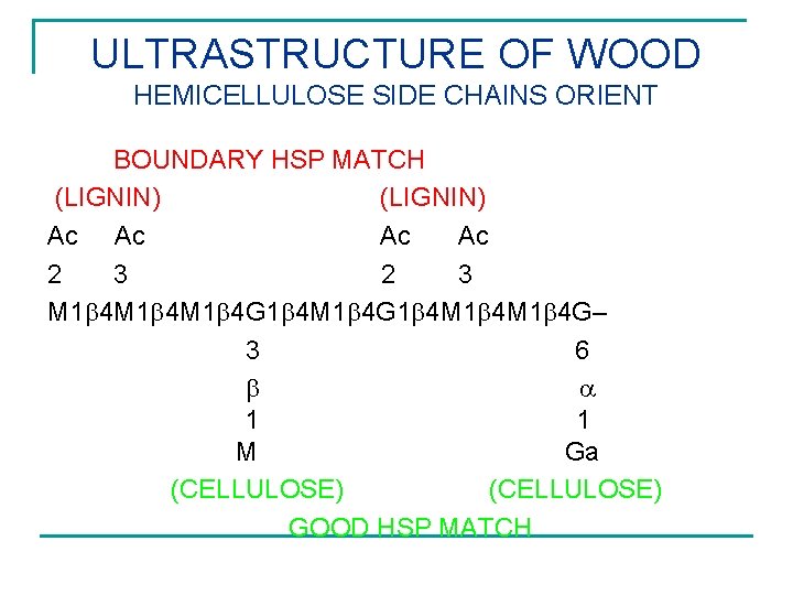 ULTRASTRUCTURE OF WOOD HEMICELLULOSE SIDE CHAINS ORIENT BOUNDARY HSP MATCH (LIGNIN) Ac Ac 2