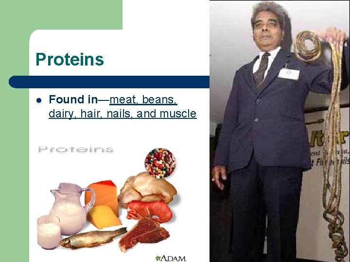 Proteins l Found in—meat, beans, dairy, hair, nails, and muscle 