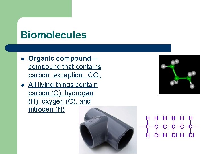 Biomolecules l l Organic compound— compound that contains carbon exception: CO 2 All living