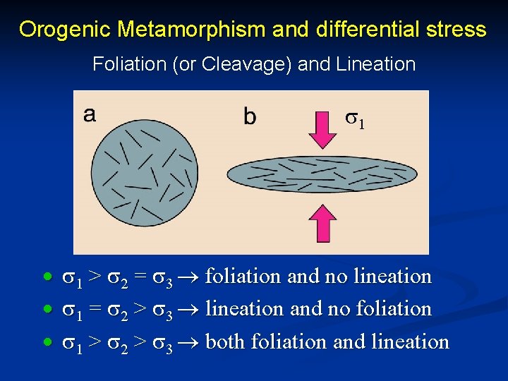 Orogenic Metamorphism and differential stress Foliation (or Cleavage) and Lineation s 1 · ·