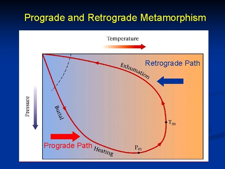 Prograde and Retrograde Metamorphism Retrograde Path Prograde Path 