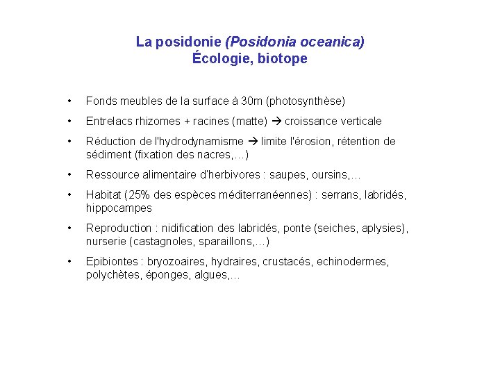 La posidonie (Posidonia oceanica) Écologie, biotope • Fonds meubles de la surface à 30