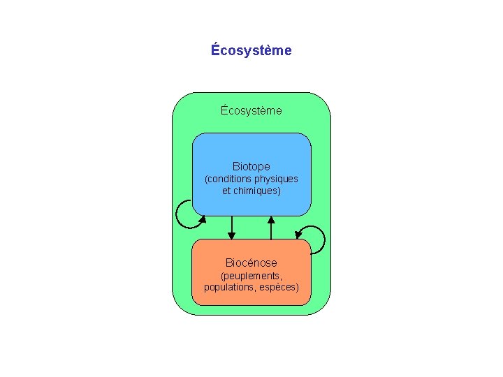 Écosystème Biotope (conditions physiques et chimiques) Biocénose (peuplements, populations, espèces) 