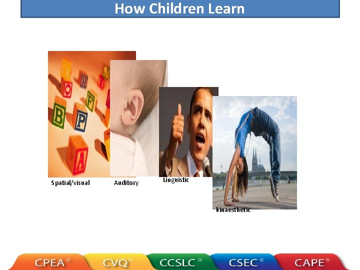 How Children Learn Spatial/visual Auditory Linguistic kinaesthetic 