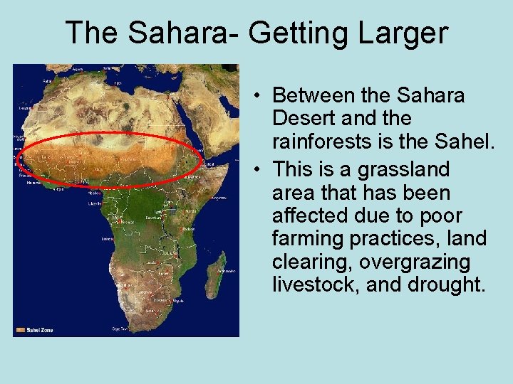 The Sahara- Getting Larger • Between the Sahara Desert and the rainforests is the
