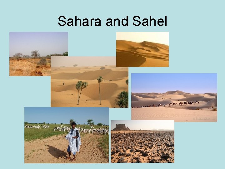 Sahara and Sahel 