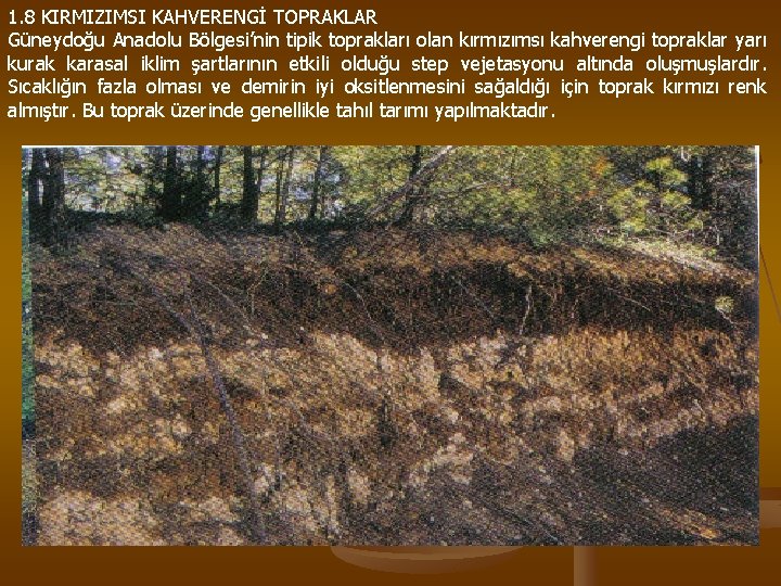 1. 8 KIRMIZIMSI KAHVERENGİ TOPRAKLAR Güneydoğu Anadolu Bölgesi’nin tipik toprakları olan kırmızımsı kahverengi topraklar
