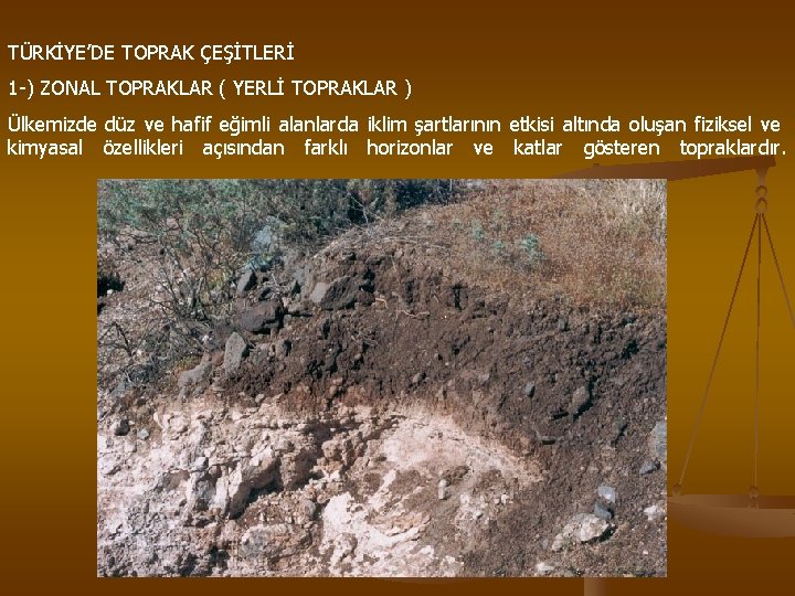 TÜRKİYE’DE TOPRAK ÇEŞİTLERİ 1 -) ZONAL TOPRAKLAR ( YERLİ TOPRAKLAR ) Ülkemizde düz ve